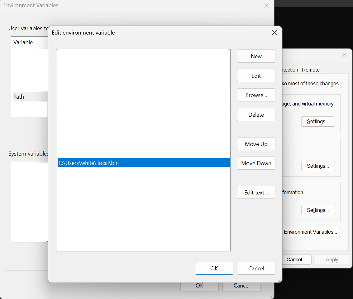 Claude Code Binary Path Setup